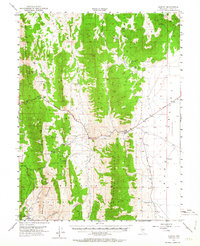 Download a high-resolution, GPS-compatible USGS topo map for Illipah, NV (1964 edition)