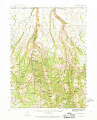 Download a high-resolution, GPS-compatible USGS topo map for Jarbidge, NV (1969 edition)