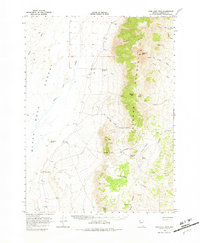 Download a high-resolution, GPS-compatible USGS topo map for King Lear Peak, NV (1981 edition)
