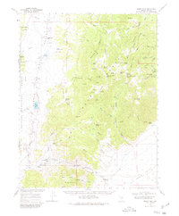 Download a high-resolution, GPS-compatible USGS topo map for Morey Peak, NV (1980 edition)