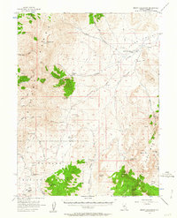 Download a high-resolution, GPS-compatible USGS topo map for Mount Callaghan, NV (1963 edition)
