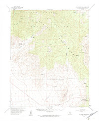 Download a high-resolution, GPS-compatible USGS topo map for Mountain Springs, NV (1984 edition)