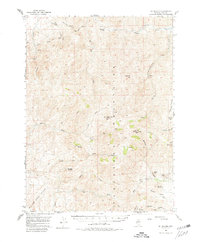 Download a high-resolution, GPS-compatible USGS topo map for Mt Blitzen, NV (1981 edition)