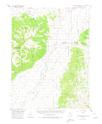 Download a high-resolution, GPS-compatible USGS topo map for North Shoshone Peak, NV (1980 edition)
