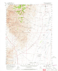 Download a high-resolution, GPS-compatible USGS topo map for Paradise Valley, NV (1967 edition)