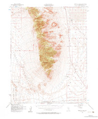Download a high-resolution, GPS-compatible USGS topo map for Reveille Peak, NV (1984 edition)