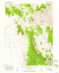 Download a high-resolution, GPS-compatible USGS topo map for Riepetown, NV (1961 edition)