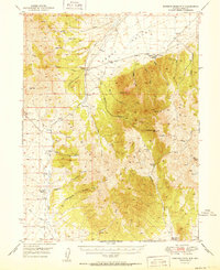 preview thumbnail of historical topo map of Eureka County, NV in 1951