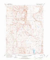 Download a high-resolution, GPS-compatible USGS topo map for Rock Spring Table, NV (1977 edition)