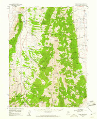Download a high-resolution, GPS-compatible USGS topo map for Schell Peaks, NV (1961 edition)