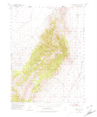 Download a high-resolution, GPS-compatible USGS topo map for Spruce Mountain 4, NV (1980 edition)