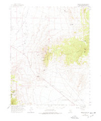 Download a high-resolution, GPS-compatible USGS topo map for Tempiute Mtn, NV (1976 edition)