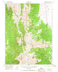 Download a high-resolution, GPS-compatible USGS topo map for Treasure Hill, NV (1967 edition)