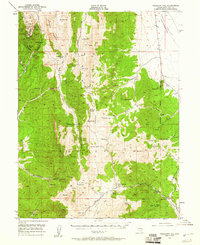 Download a high-resolution, GPS-compatible USGS topo map for Treasure Hill, NV (1960 edition)