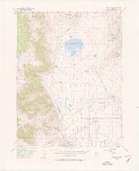 Download a high-resolution, GPS-compatible USGS topo map for Wellington, NV (1957 edition)