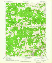 Download a high-resolution, GPS-compatible USGS topo map for Alfred, NY (1965 edition)