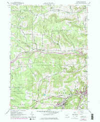 Download a high-resolution, GPS-compatible USGS topo map for Alfred, NY (1978 edition)