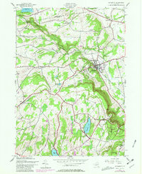 Download a high-resolution, GPS-compatible USGS topo map for Altamont, NY (1981 edition)