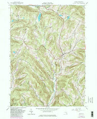 Download a high-resolution, GPS-compatible USGS topo map for Andes, NY (1982 edition)