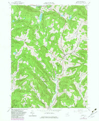Download a high-resolution, GPS-compatible USGS topo map for Andes, NY (1982 edition)