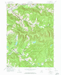 Download a high-resolution, GPS-compatible USGS topo map for Arena, NY (1974 edition)