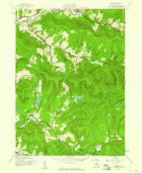 Download a high-resolution, GPS-compatible USGS topo map for Arena, NY (1960 edition)