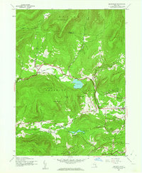Download a high-resolution, GPS-compatible USGS topo map for Bearsville, NY (1962 edition)