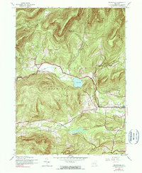 Download a high-resolution, GPS-compatible USGS topo map for Bearsville, NY (1990 edition)
