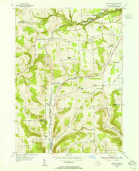 Download a high-resolution, GPS-compatible USGS topo map for Beaver Dams, NY (1967 edition)