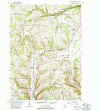 Download a high-resolution, GPS-compatible USGS topo map for Beaver Dams, NY (1986 edition)