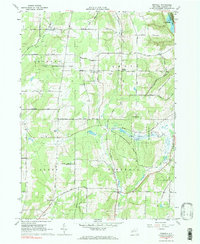 Download a high-resolution, GPS-compatible USGS topo map for Birdsall, NY (1984 edition)