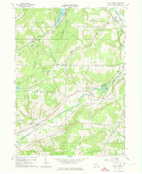 Download a high-resolution, GPS-compatible USGS topo map for Black Creek, NY (1974 edition)