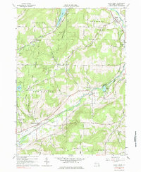 Download a high-resolution, GPS-compatible USGS topo map for Black Creek, NY (1985 edition)