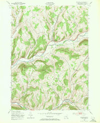 Download a high-resolution, GPS-compatible USGS topo map for Bloomville, NY (1953 edition)