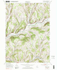 Download a high-resolution, GPS-compatible USGS topo map for Bloomville, NY (1985 edition)