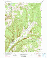 Download a high-resolution, GPS-compatible USGS topo map for Bradford, NY (1991 edition)