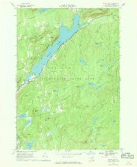 Download a high-resolution, GPS-compatible USGS topo map for Brant Lake, NY (1969 edition)