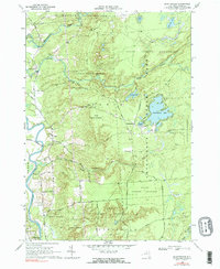 Download a high-resolution, GPS-compatible USGS topo map for Brantingham, NY (1990 edition)
