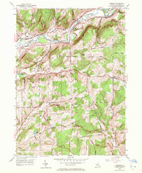 Download a high-resolution, GPS-compatible USGS topo map for Brisben, NY (1971 edition)