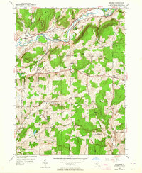 Download a high-resolution, GPS-compatible USGS topo map for Brisben, NY (1964 edition)
