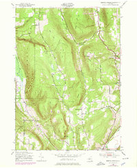 Download a high-resolution, GPS-compatible USGS topo map for Bristol Springs, NY (1978 edition)