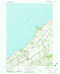 Download a high-resolution, GPS-compatible USGS topo map for Brocton, NY (1979 edition)