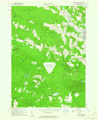 Download a high-resolution, GPS-compatible USGS topo map for Camden West, NY (1962 edition)