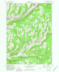 Download a high-resolution, GPS-compatible USGS topo map for Charlotteville, NY (1983 edition)