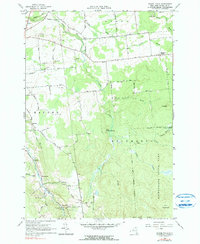 Download a high-resolution, GPS-compatible USGS topo map for Chasm Falls, NY (1990 edition)