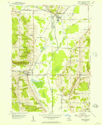 Download a high-resolution, GPS-compatible USGS topo map for Cherry Creek, NY (1956 edition)