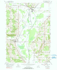 Download a high-resolution, GPS-compatible USGS topo map for Cherry Creek, NY (1990 edition)