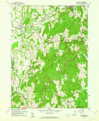 preview thumbnail of historical topo map of Columbia County, NY in 1960