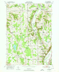 Download a high-resolution, GPS-compatible USGS topo map for Dale, NY (1974 edition)