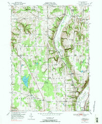 Download a high-resolution, GPS-compatible USGS topo map for Dale, NY (1984 edition)